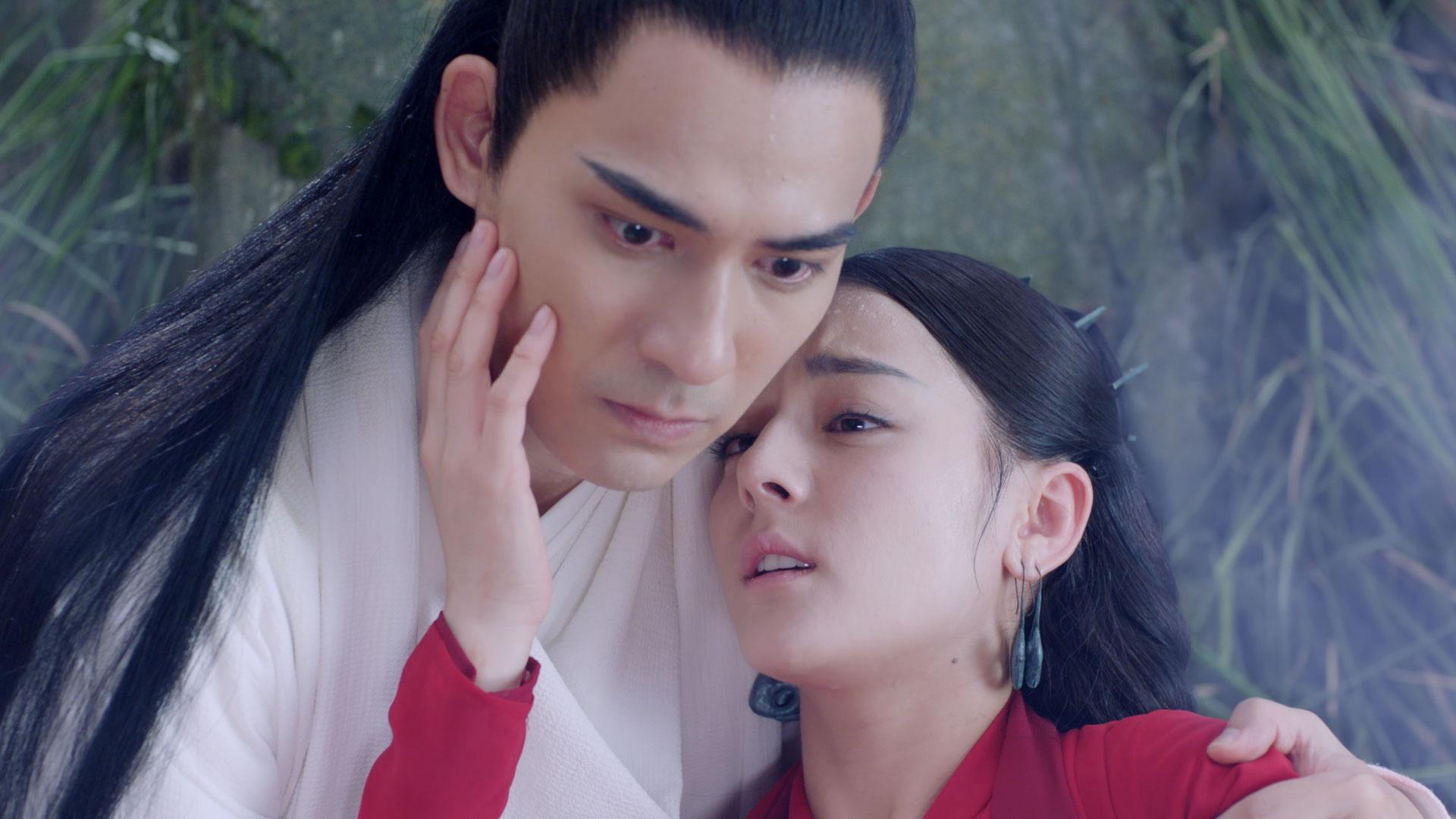 第52話「100年の恋」