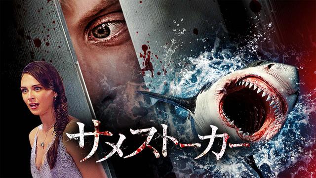 洋画「サメストーカー」
