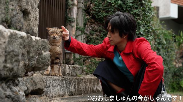 今しゅんギャラリー 沖縄編