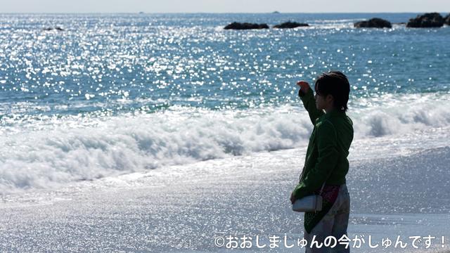 今しゅんギャラリー 高知編