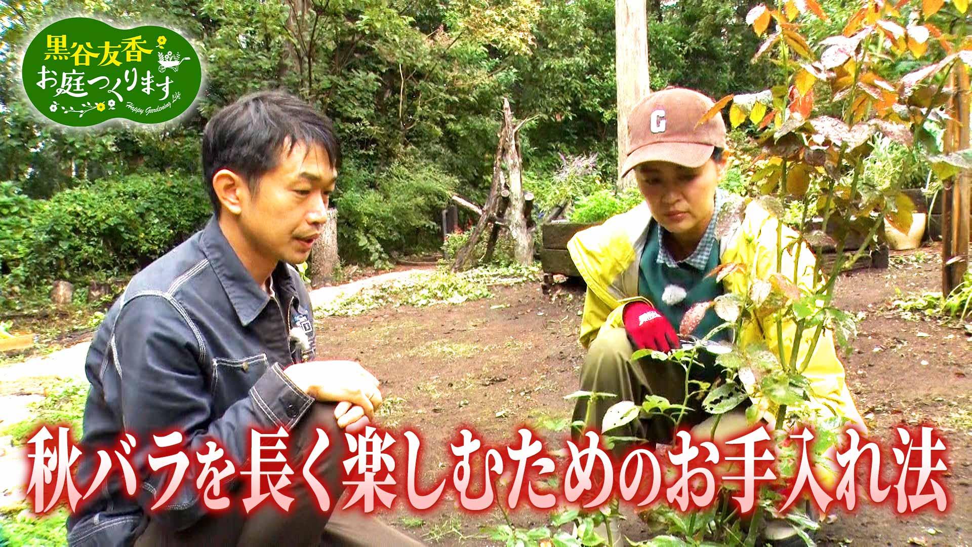 第33回「秋バラを長く楽しむ&すぐ使えるバラの育て方!」