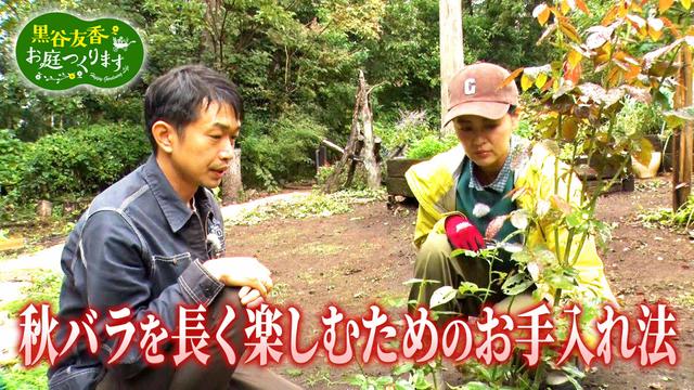 第33回「秋バラを長く楽しむ&すぐ使えるバラの育て方!」