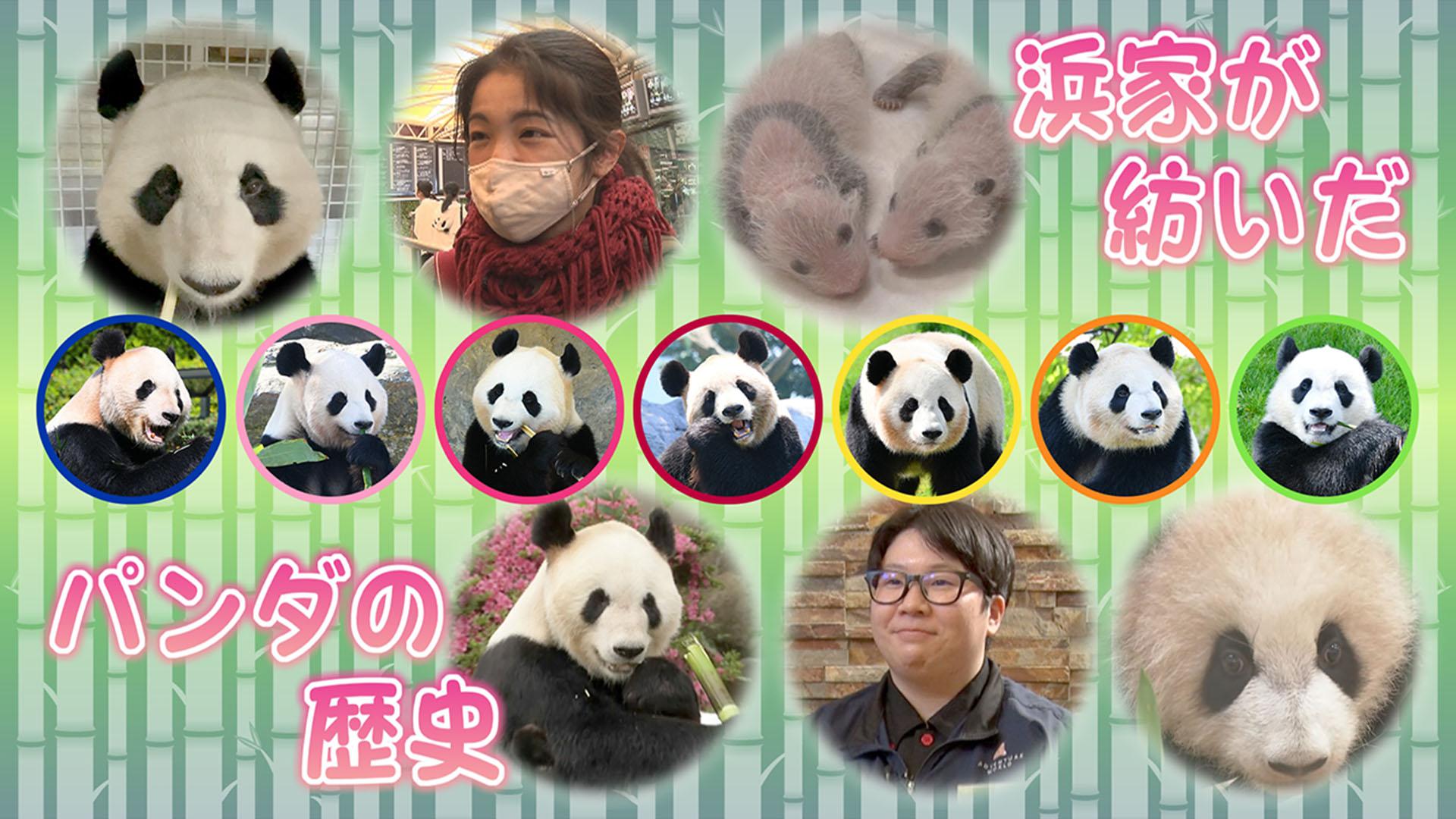 『浜家が紡いだパンダの歴史🐼』