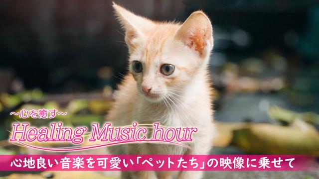 #2「Pet~愛玩動物~」