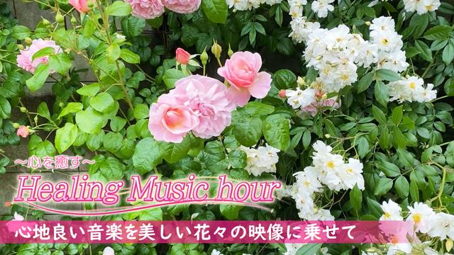 #5「Flower~花々~」