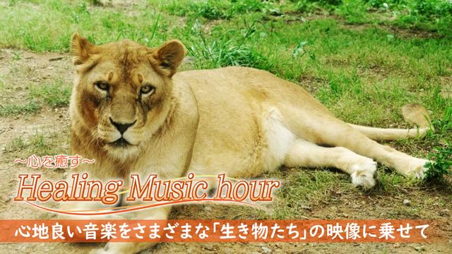 #8「Animal~生き物たち~」