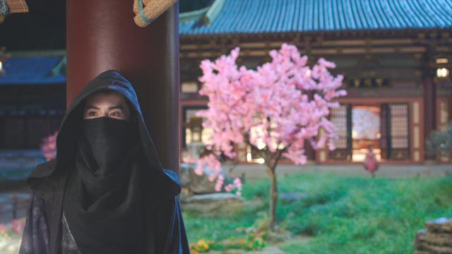 第26話「斉葩(チー・パー)専属の星」