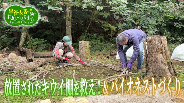 第43回「放置されたキウイ棚を救え!&2代目バイオネストづくり!」