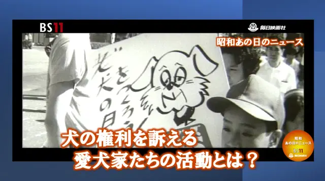 わんちゃんねこちゃんパンダちゃん(?)アニマルたくさん大特集!―昭和の記憶がよみがえる・・・・「昭和あの日のニュース」<毎日ニュース>より(2024年10月7日公開)