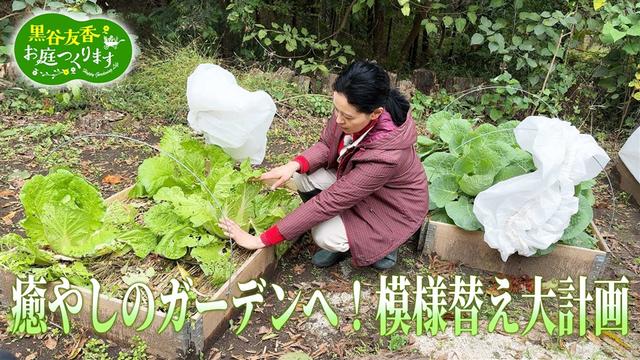 第47回「ベストビューポイントに休憩所、夜でも楽しめる庭に大変身」