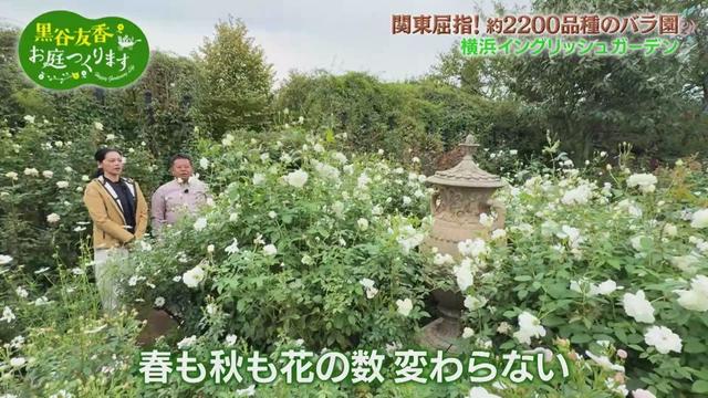 第34回「友の庭の今やるべき冬支度~霜除けの屋根づくり」出演