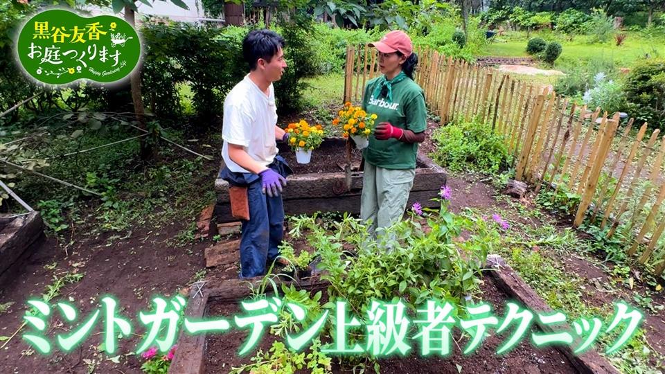 第21話「ミントガーデンに挑戦&ベランダハーブの育て方のポイント」