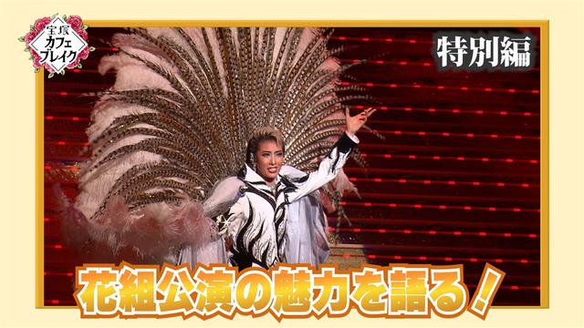#1254「星組 特別編」