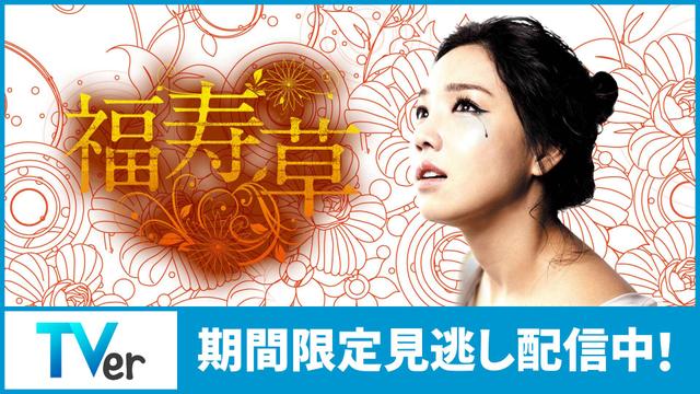 韓国ドラマ「福寿草」