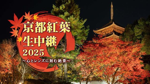 京都紅葉生中継2025 ~心とレンズに刻む絶景~
