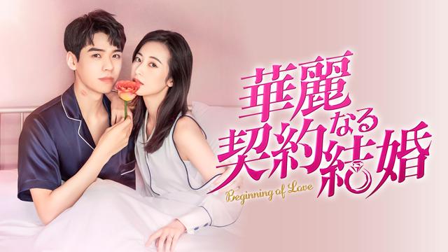中国ドラマ「華麗なる契約結婚」