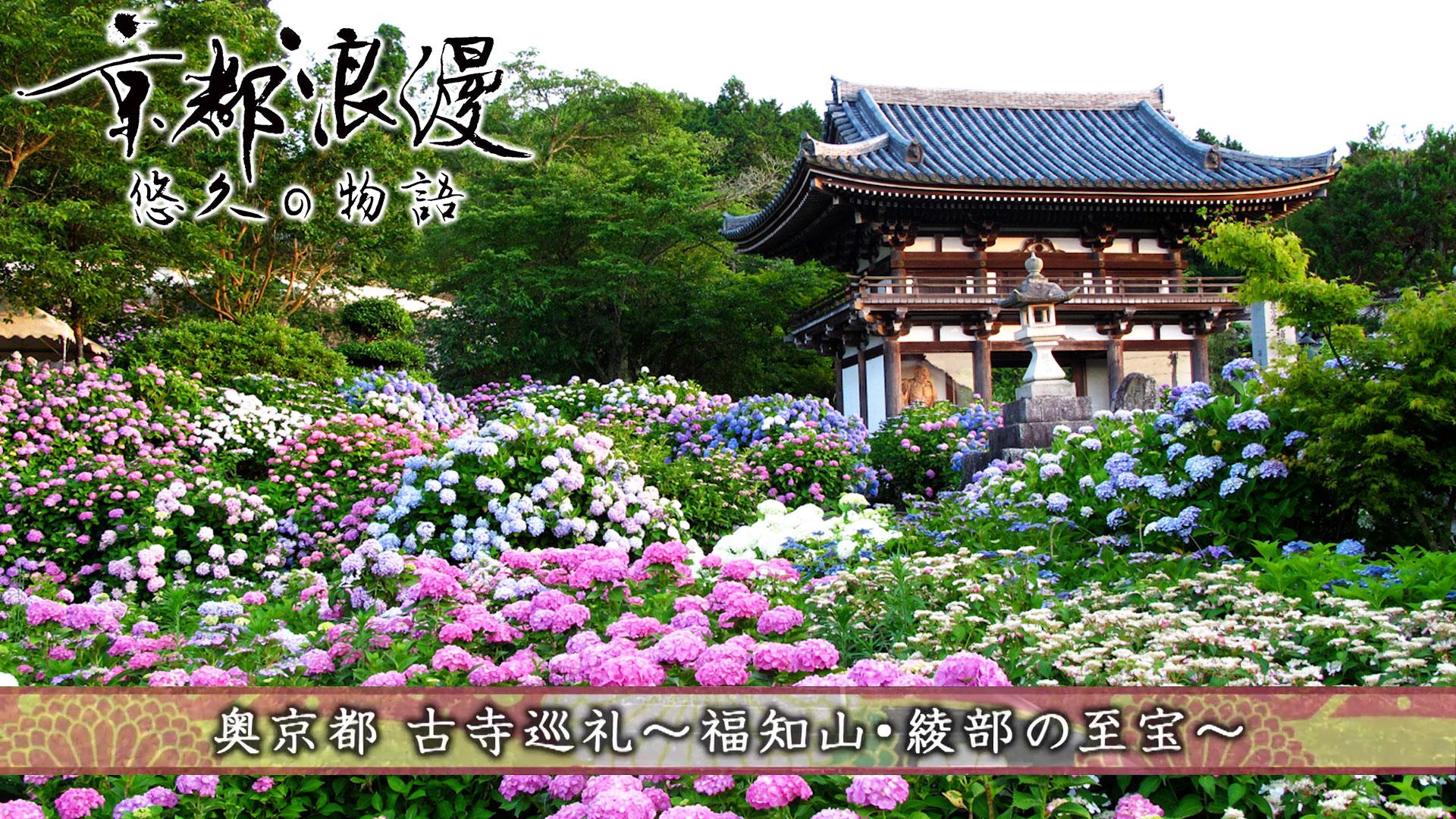 京都浪漫 悠久の物語 ネットでBS見逃し配信・レンタル・見放題プラン BS11+(BS11プラス)