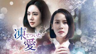 韓国ドラマ「凍てついた愛」ノーカット版
